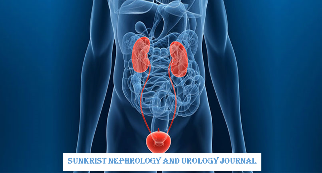 SunKrist Nephrology and Urology Journal